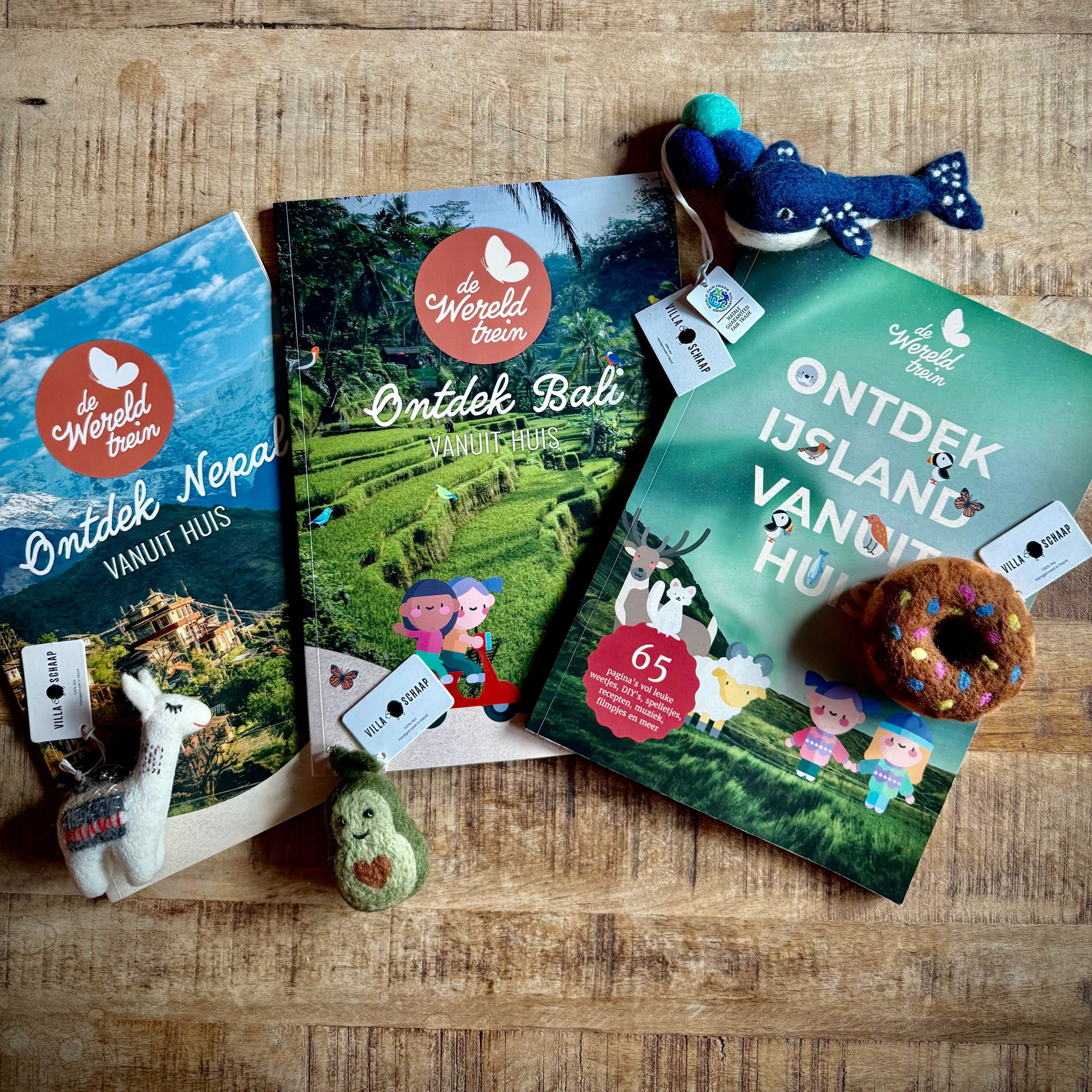 Kidspakket Villa Schaap & De Wereldtrein
